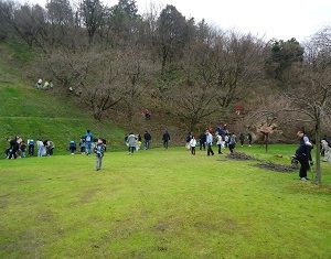 新発田市の大峰山桜公園でTeam ECO Work!を開催