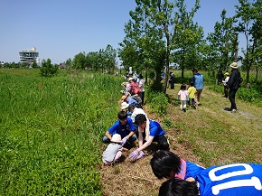 新潟市北区の福島潟でTeam ECO Work!を開催