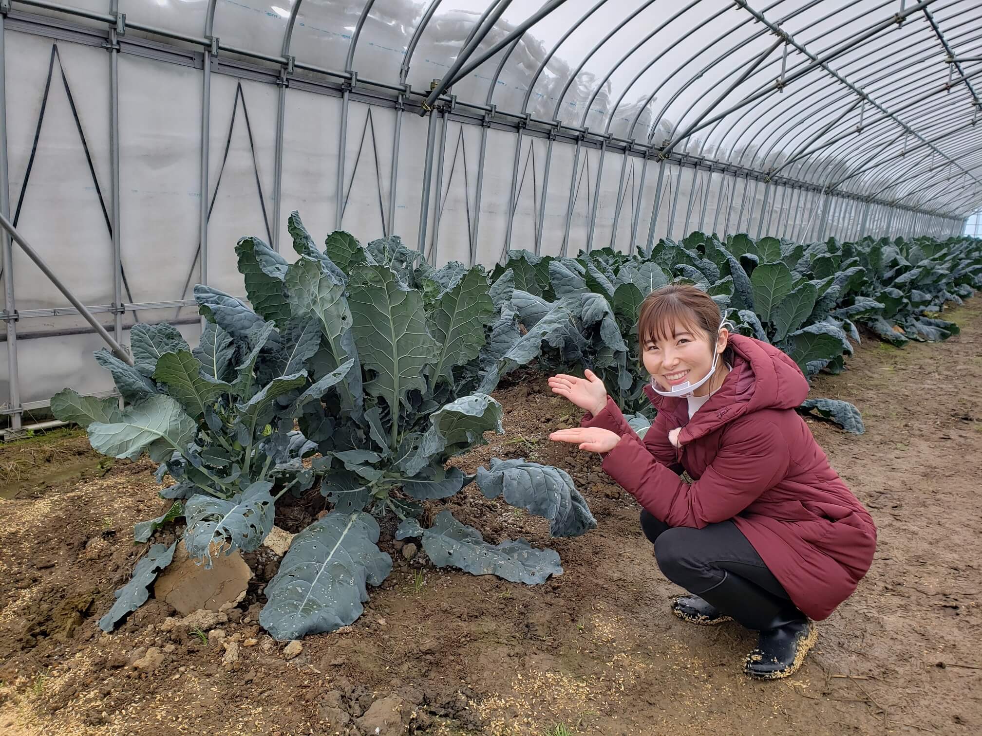 1/23『冬に甘み増す！弥彦の珍野菜』