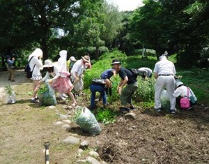 県立鳥屋野潟公園でTeam ECO Work!を開催