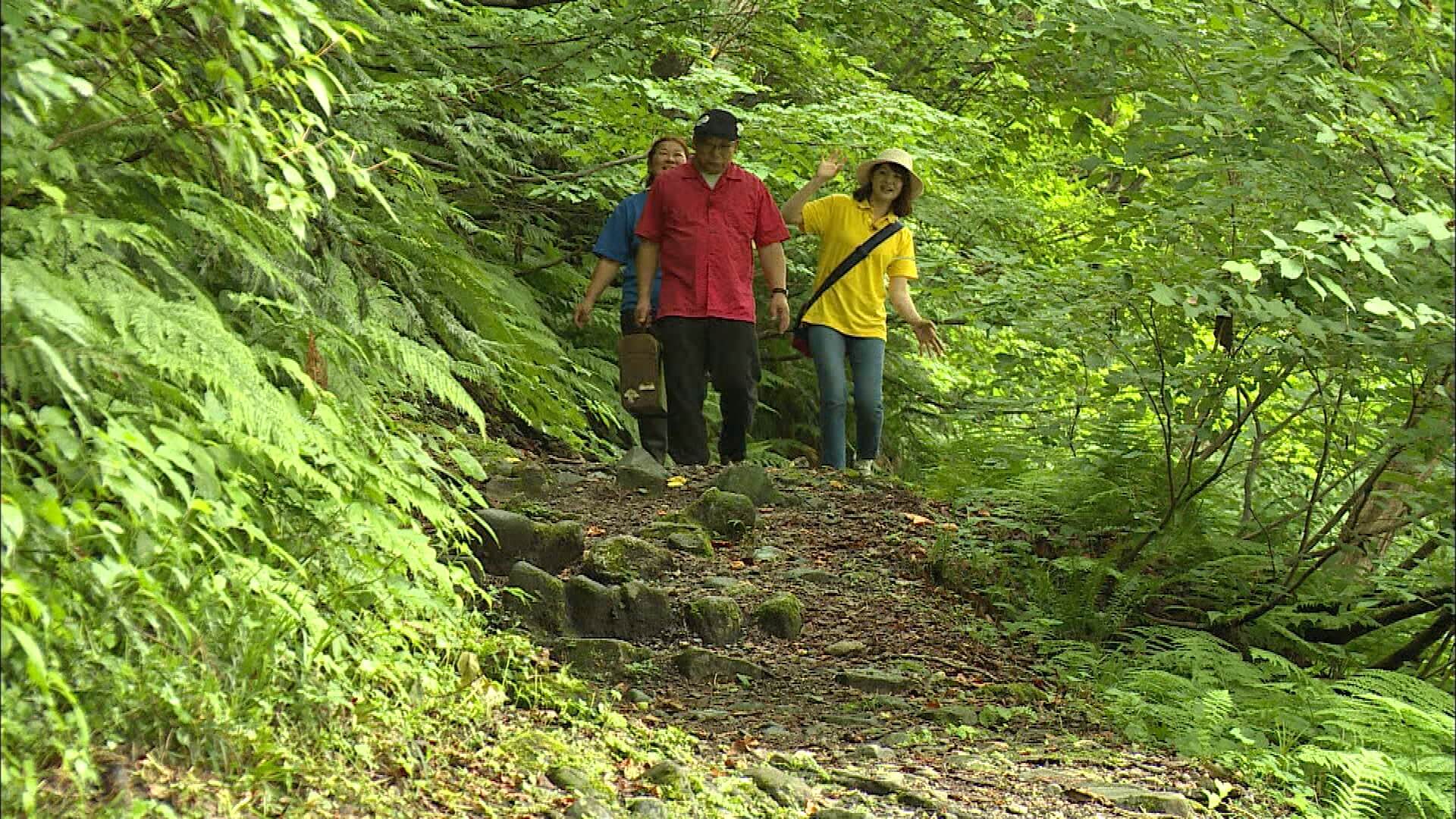 7/27『大自然に囲まれて 湯沢町大源太キャニオン』