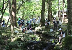 弥彦の森で「Team ECO 感謝祭」を開催！