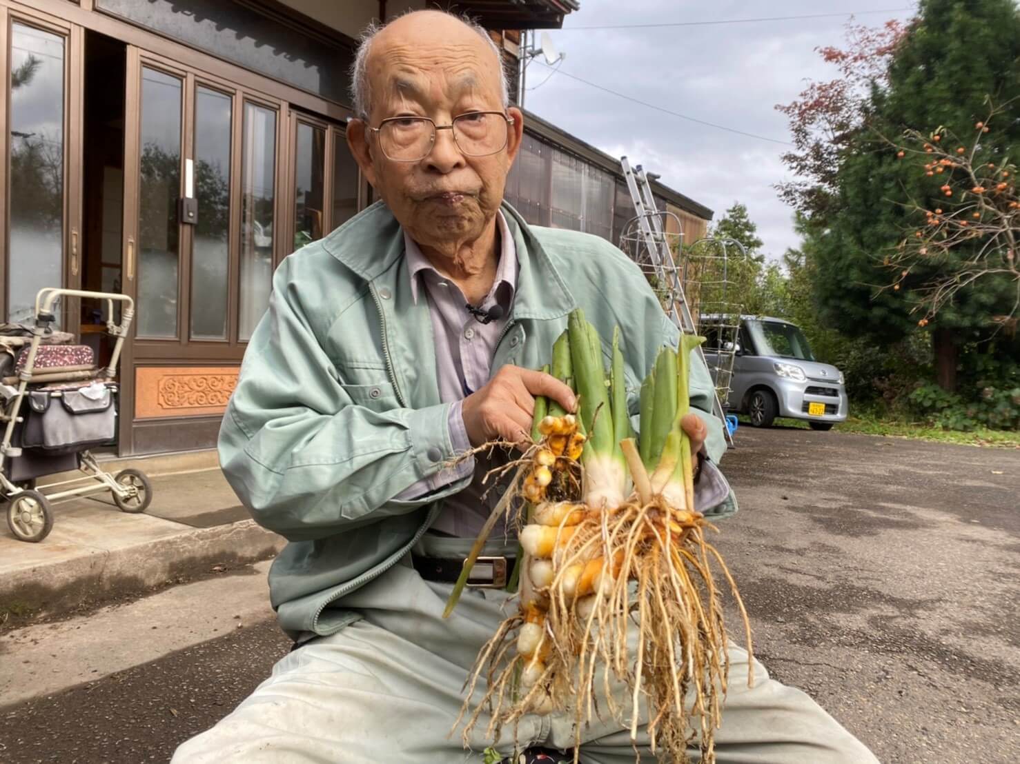 三条市でウコン栽培　９１歳のおじいさん