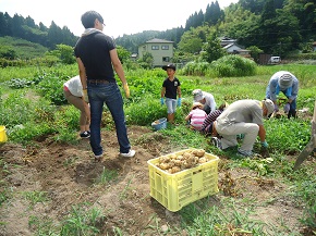 エコまる村！「じゃがいもの収穫と試食会」