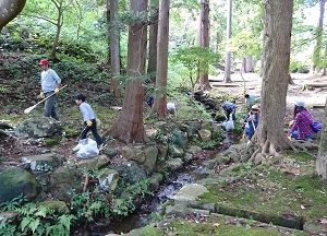 緑に囲まれた弥彦公園でTeam ECO Work!を開催