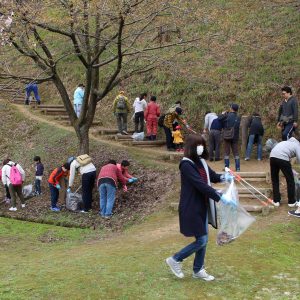 新発田・大峰山桜公園で今年初のTeam ECO Work!を開催