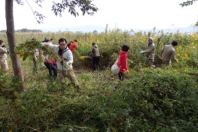 新潟市福島潟でTeam ECO Work!を開催