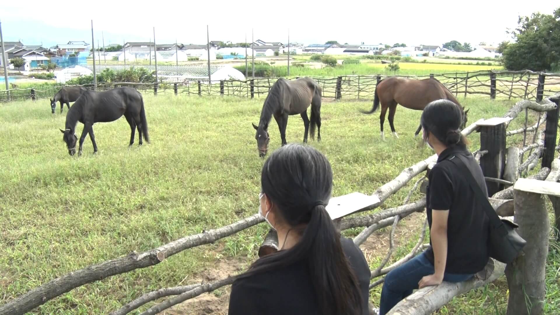 9/18 馬の命を守る！引退競走馬を育てる牧場