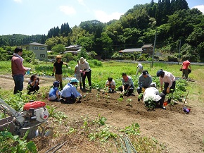 エコまる村！「夏野菜植え付け体験」