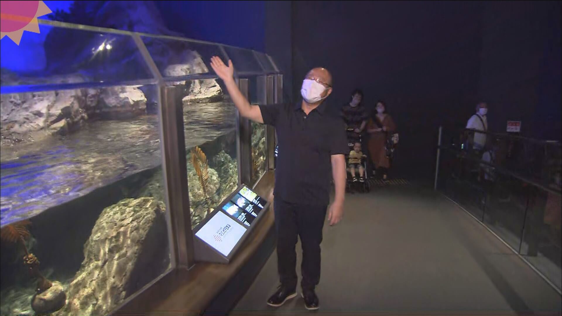 8/7「珍しい生き物発見！？水族館の企画展」