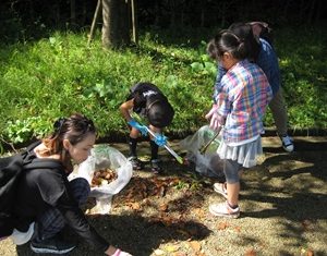 三条市総合運動公園でTeam ECO Work!を開催