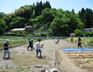 エコまる村！「田植え」ワークショップ