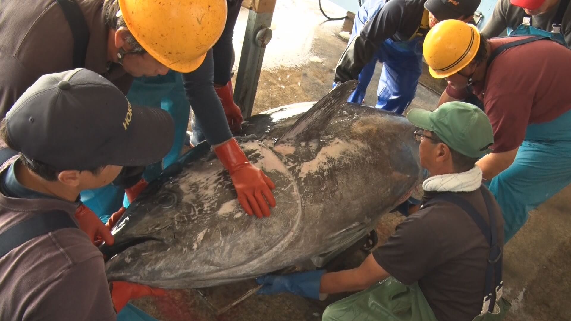 6/27 『マグロを追う漁師たち』