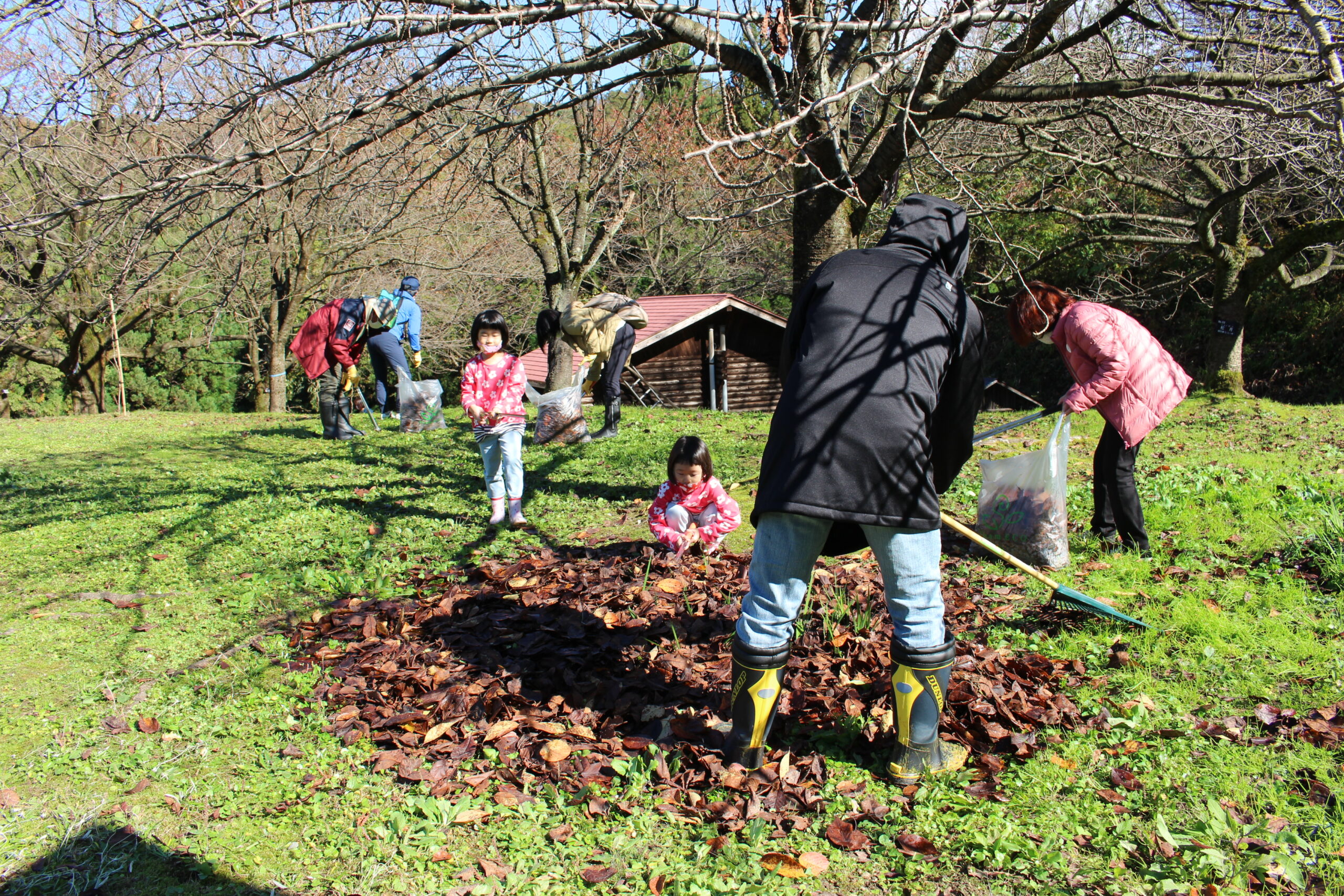 新発田市の大峰山桜公園でTeam ECO Work！を開催