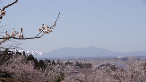 2022年3月🌱Team ECOメッセージは田上町