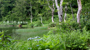 2022年7月🌱Team ECOメッセージは糸魚川市