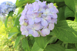 今年度最初🌼町内ごみ拾い
