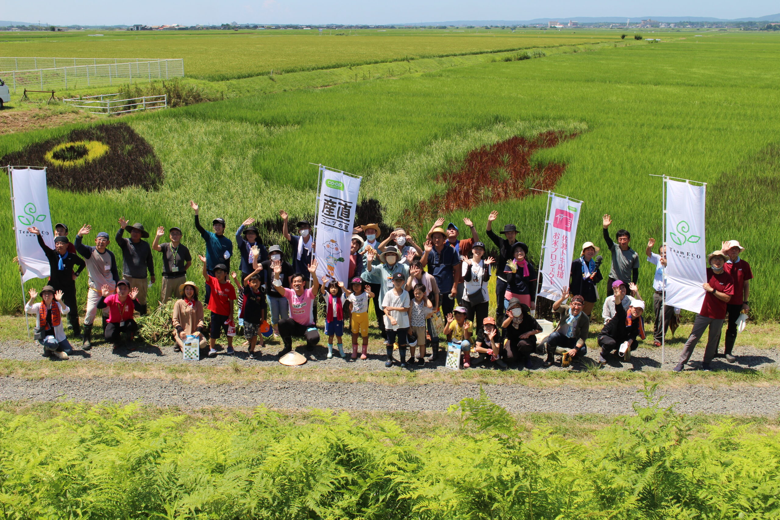 佐渡田んぼアート圃場でTeam ECO Work！開催🌈