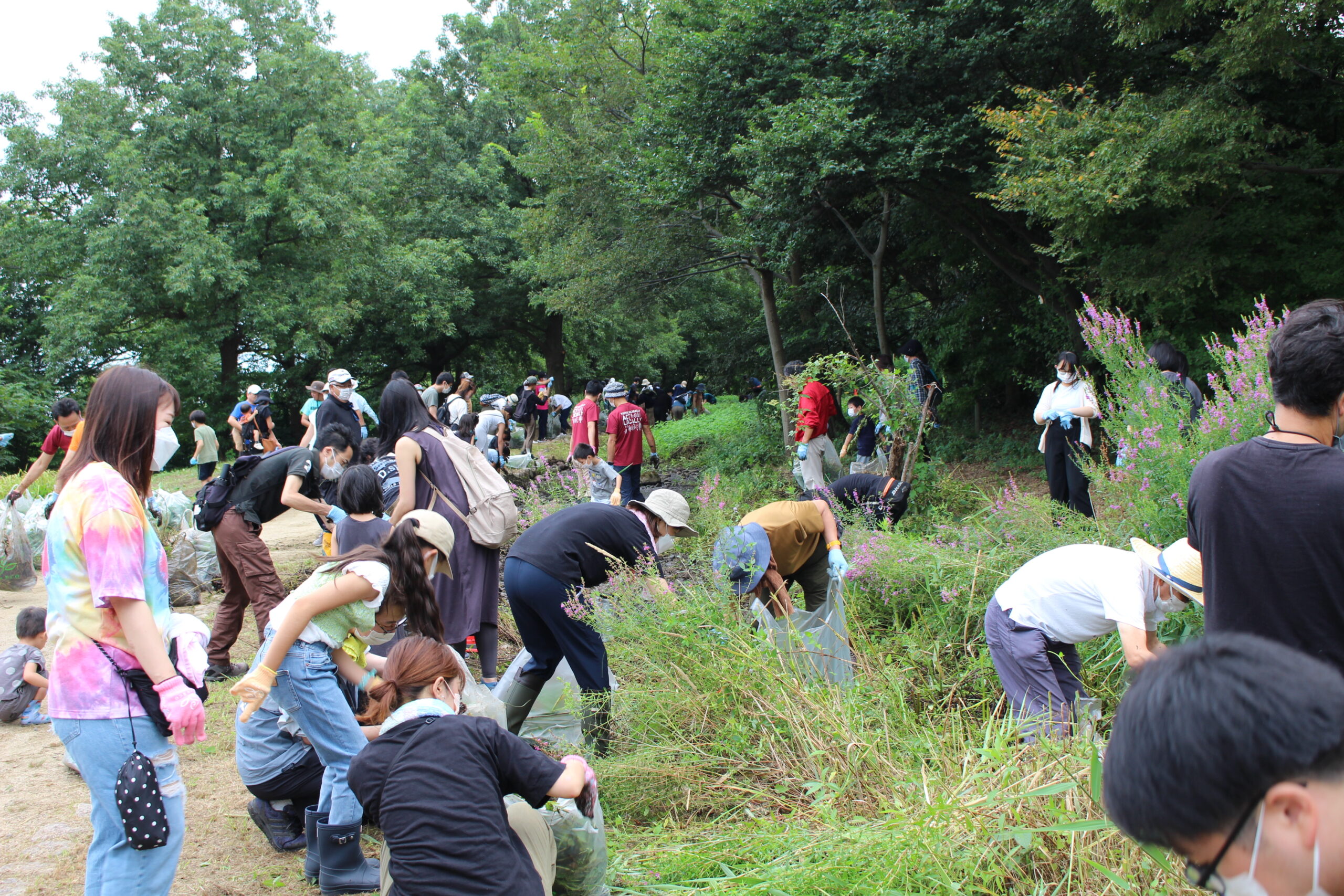 新潟県立鳥屋野潟公園でTeam ECO Work！を開催🌈