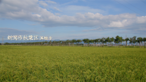 2022年9月🌱Team ECOメッセージは新潟市秋葉区