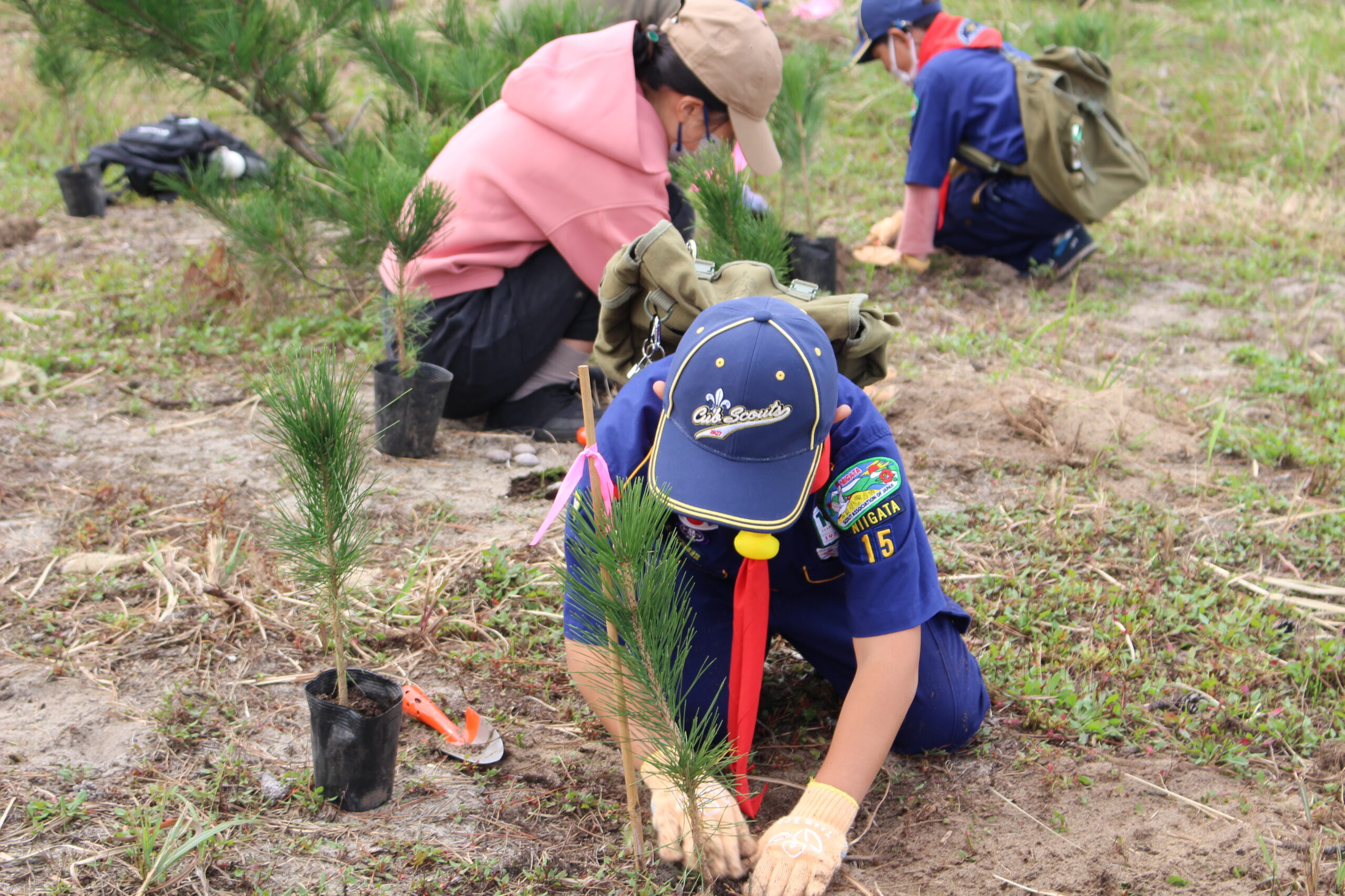 新潟市北区「海辺の森＜わんぱくの森エリア＞」でTeam ECO Work！を開…