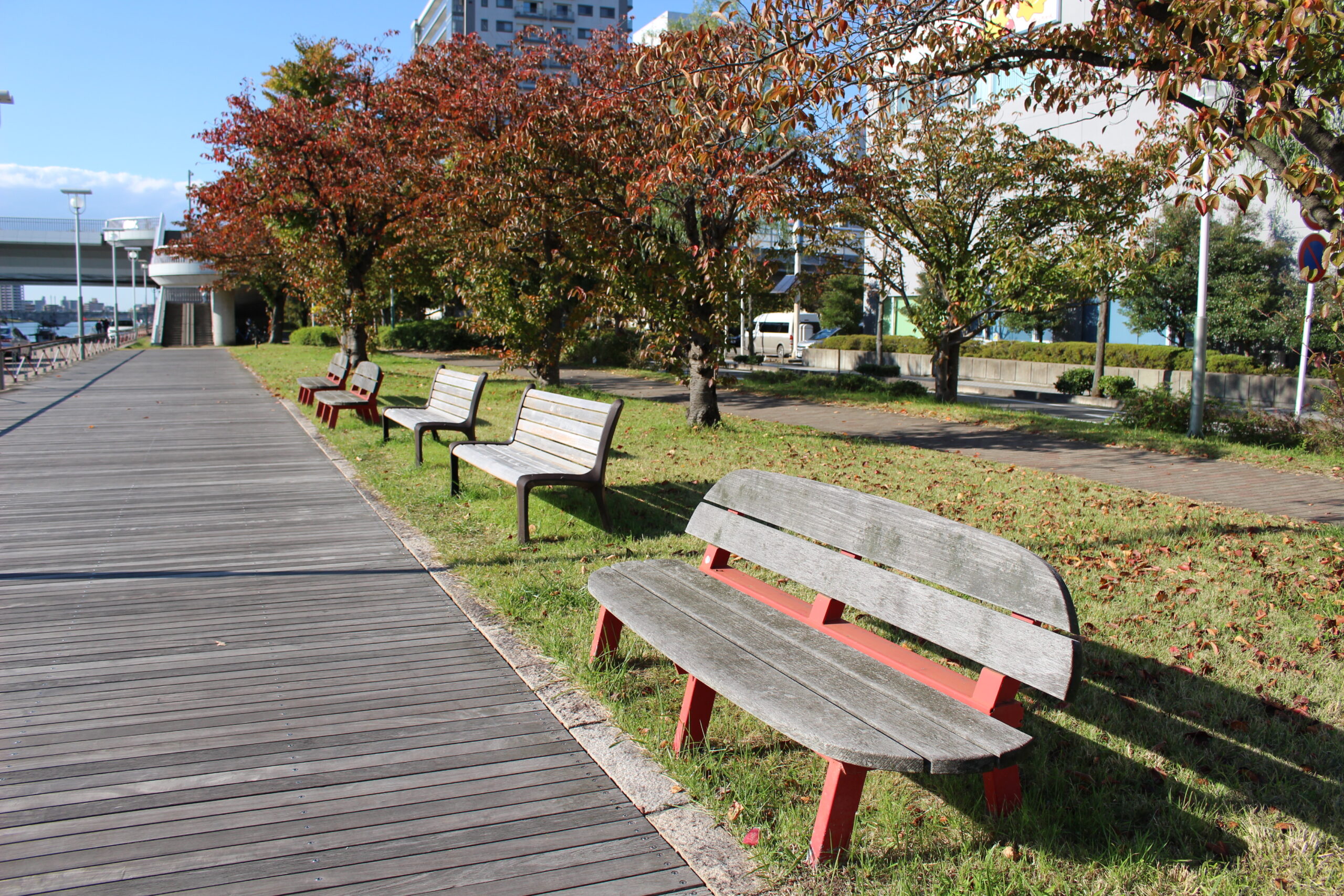 秋晴れの町内ごみ拾い🍂