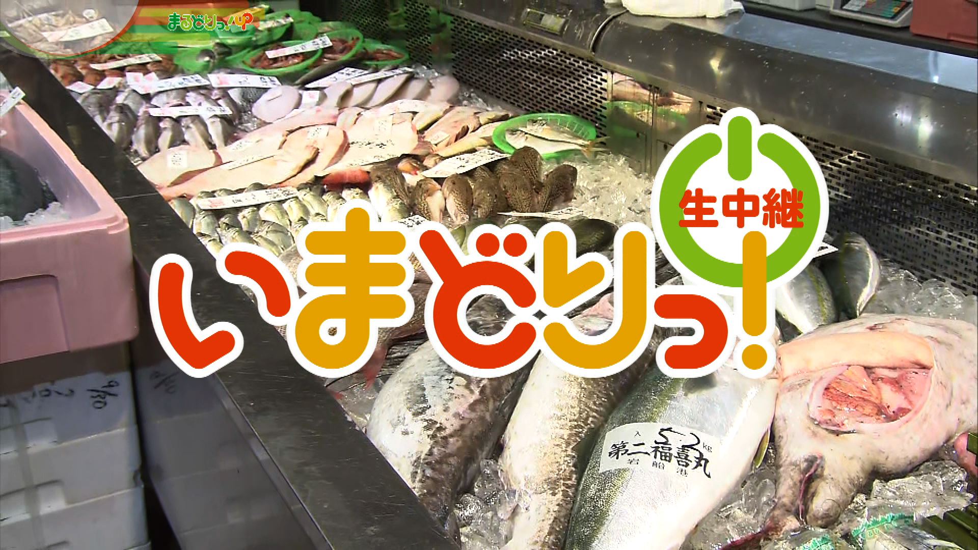 12/24『年の瀬！魚がうまい！岩船港』