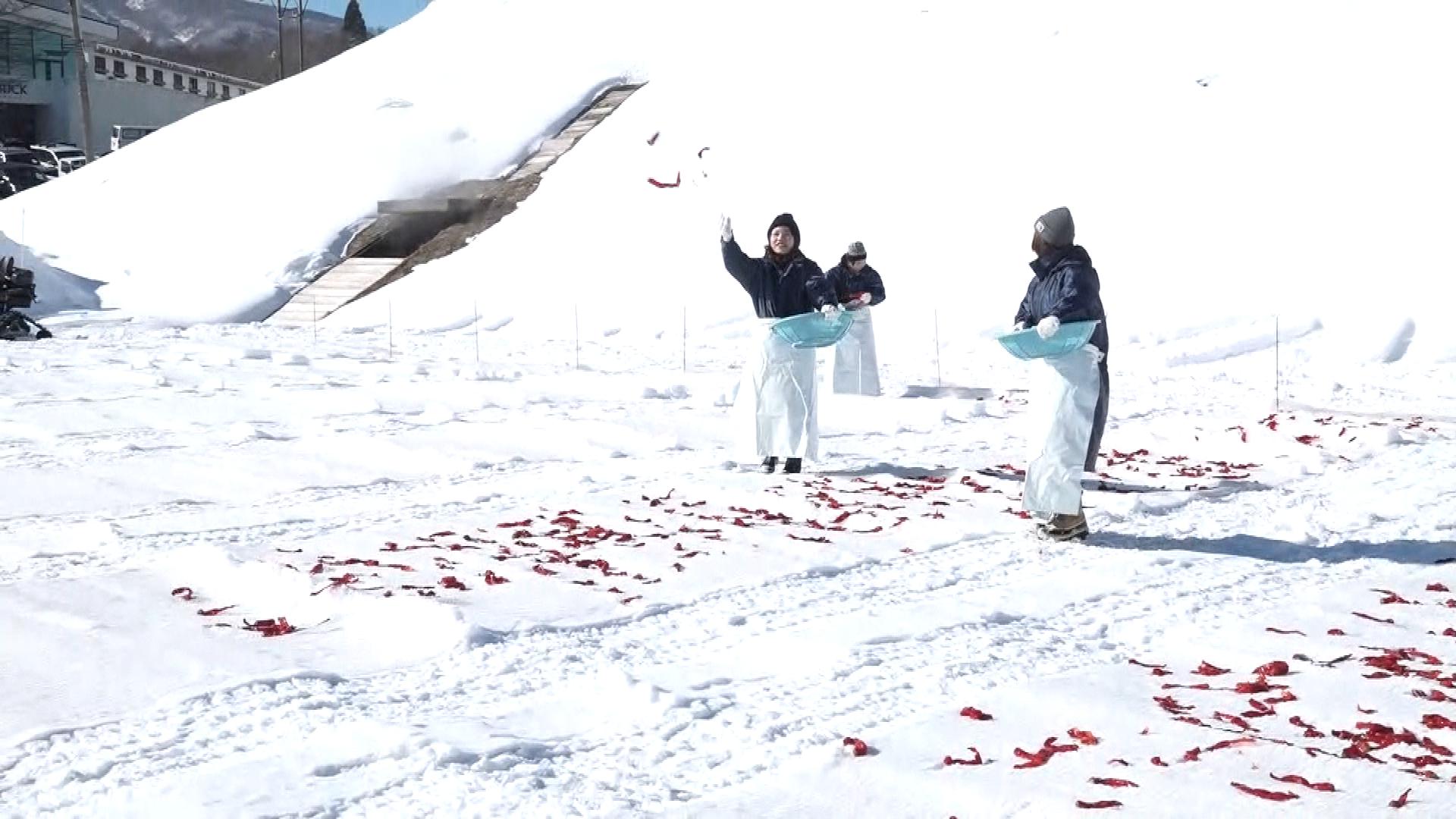 雪原に赤いトウガラシ　妙高市恒例の雪さらし 名産の調味料「かんずり」作り【新潟】
