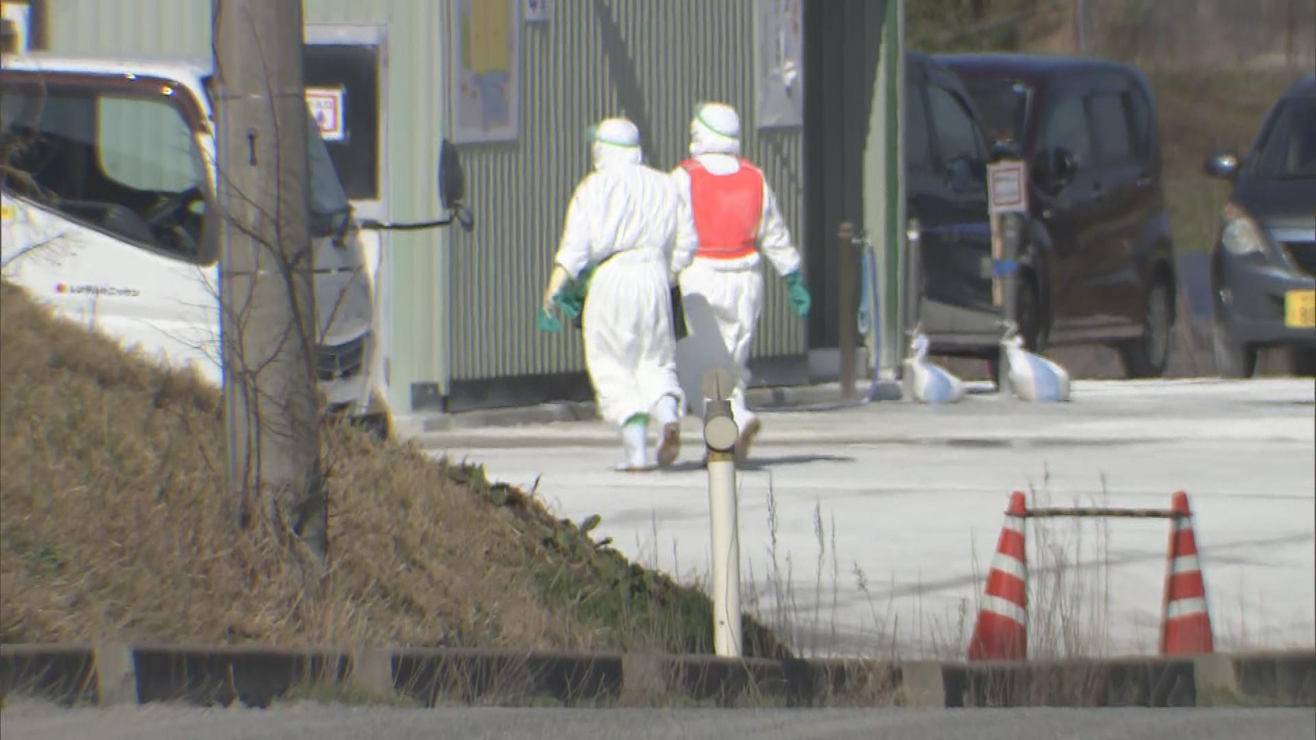 【鳥インフル】約68万羽を殺処分開始　胎内市の養鶏場で「陽性」確認【新潟】