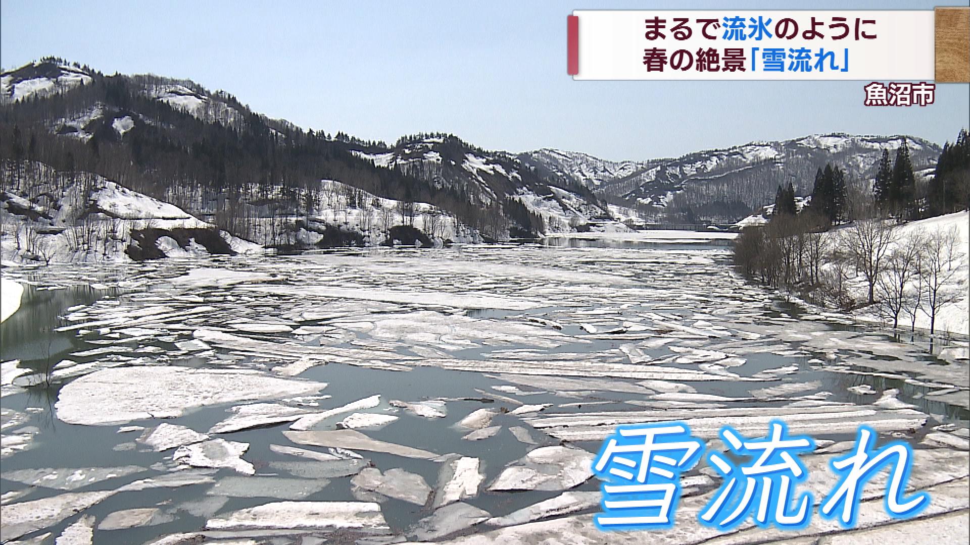 湖面に浮かぶまるで流氷　魚沼の春の「雪流れ」今がピーク【新潟】 2023年03月30日(木)
