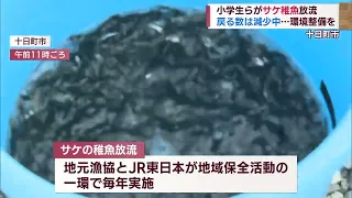 「大きくなって戻ってきてね！」小学生がサケの稚魚放流【新潟】
