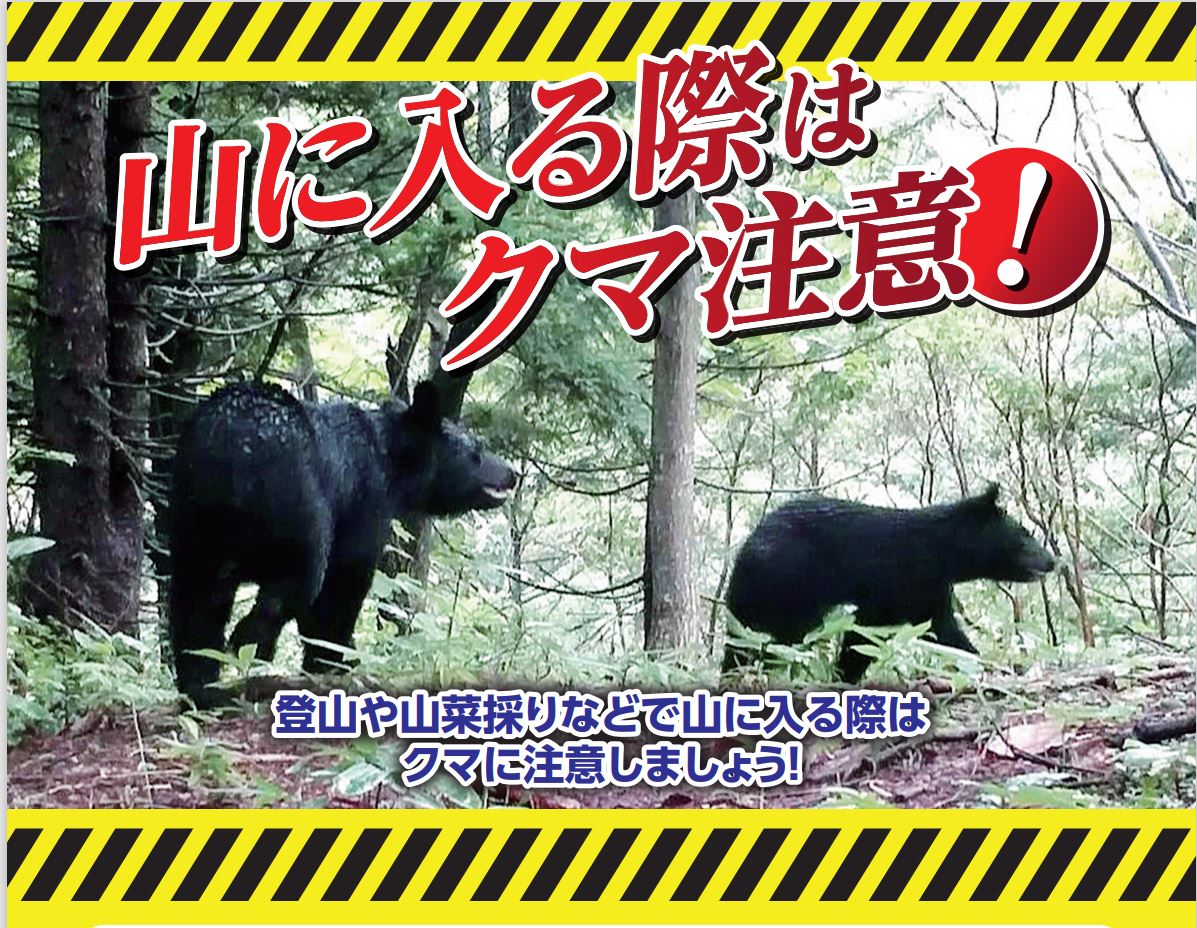 クマ出没相次ぐ　魚沼市では軽トラックと接触事故も【新潟】