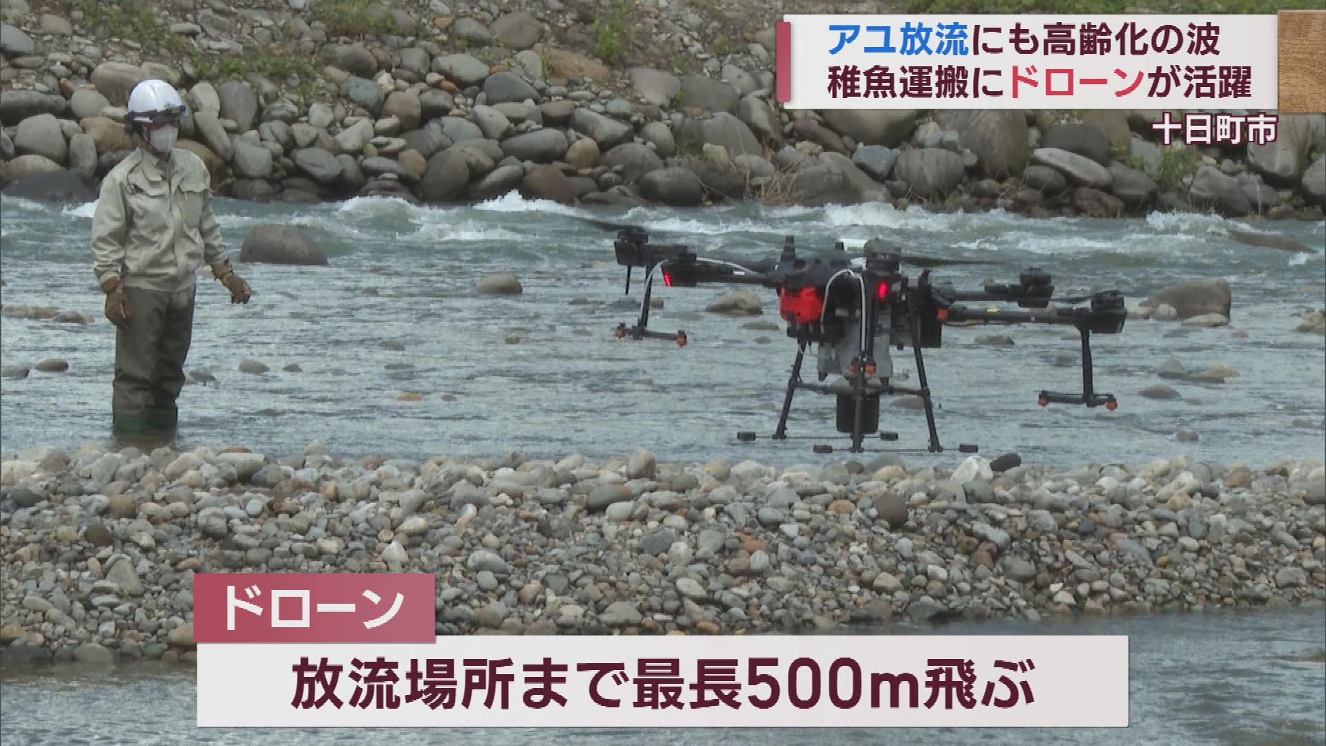 アユの稚魚 「ドローン」で運んで放流へ 背景に漁協の高齢化…【新潟】