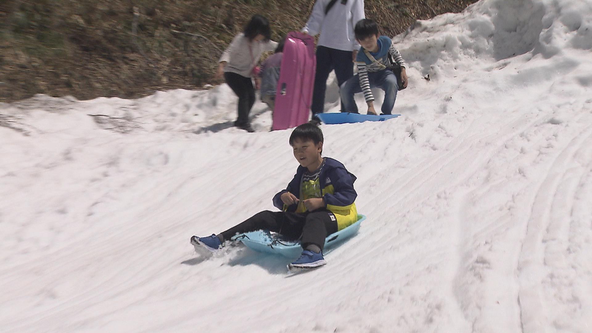 水族館・川遊び・雪遊び…県内の行楽地・家族で楽しむこどもの日【新潟】
