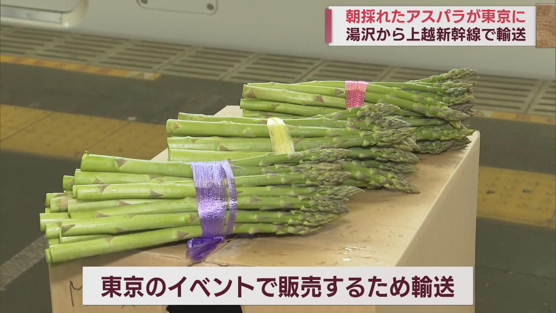 旅立つアスパラガス 上越新幹線で東京へ【新潟】