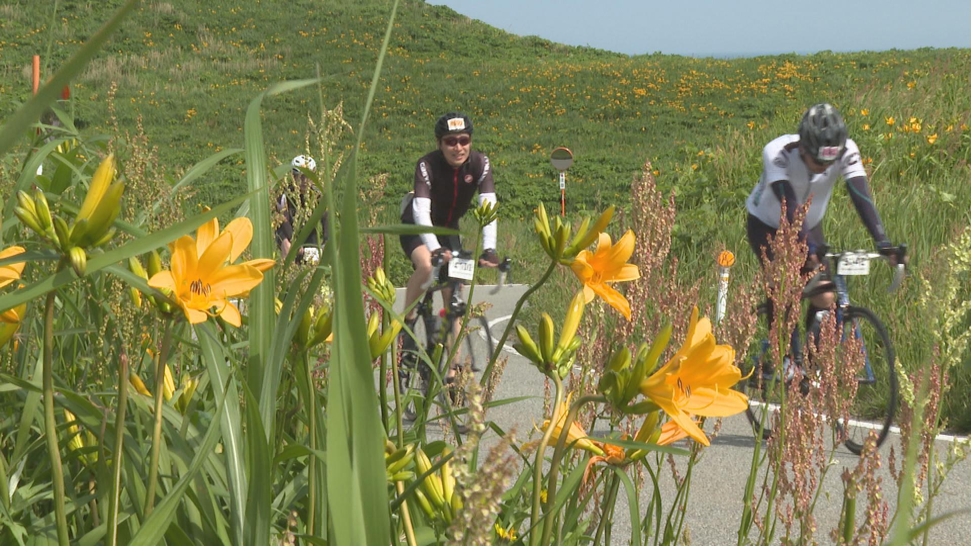 完走めざし島内を自転車で疾走！佐渡ロングライド210