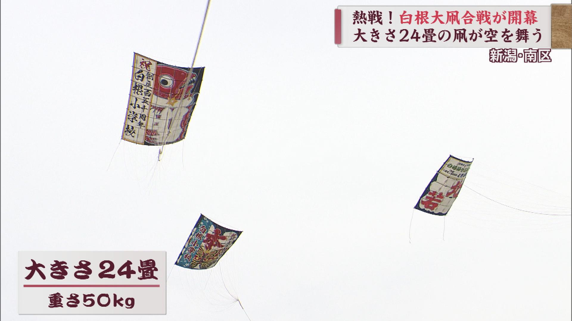 熱戦！歓声！24畳の大凧で勝負　白根大凧合戦【新潟】 2023年06月01日(木)