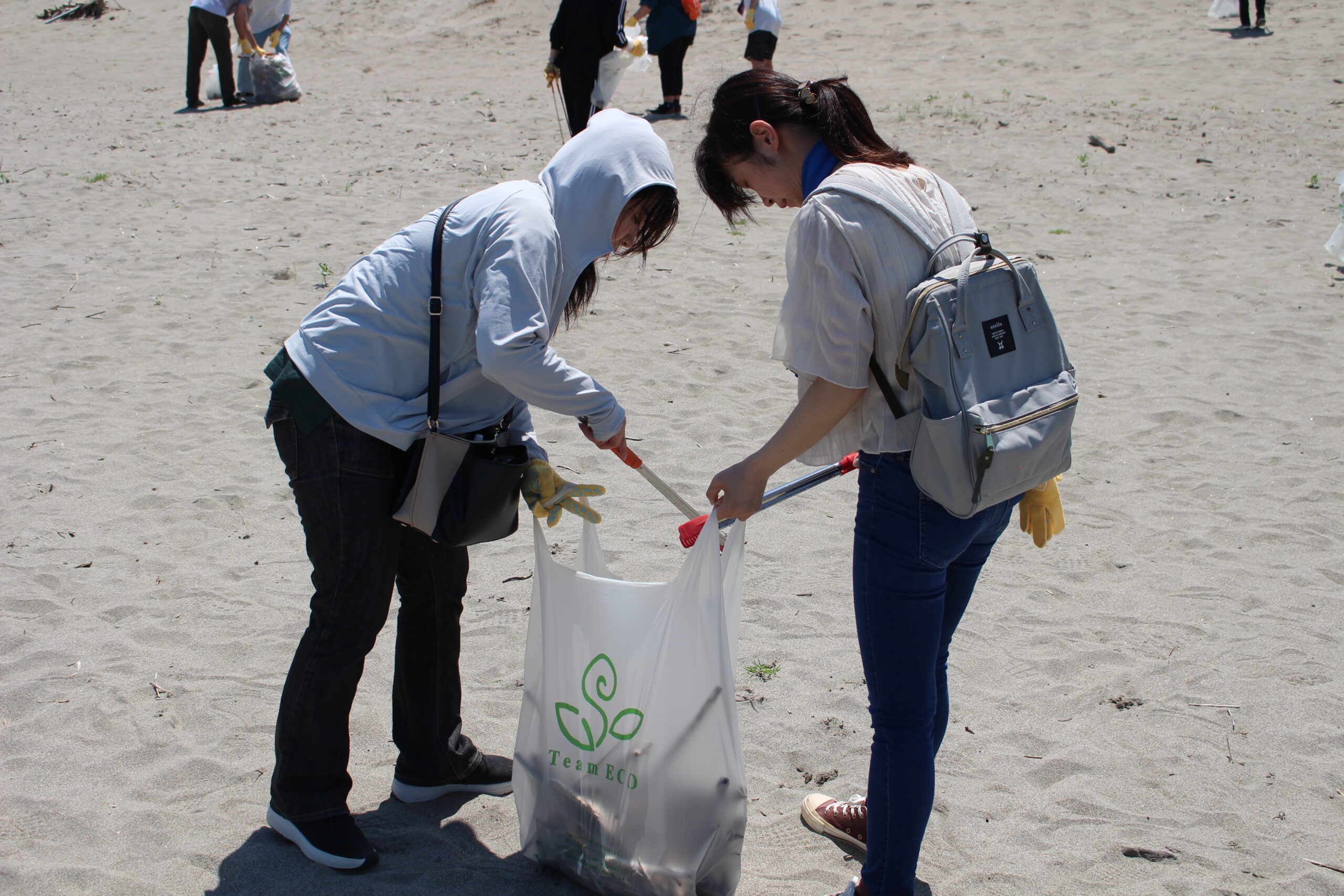 関屋浜海水浴場でTeam ECO Work！を開催🌈