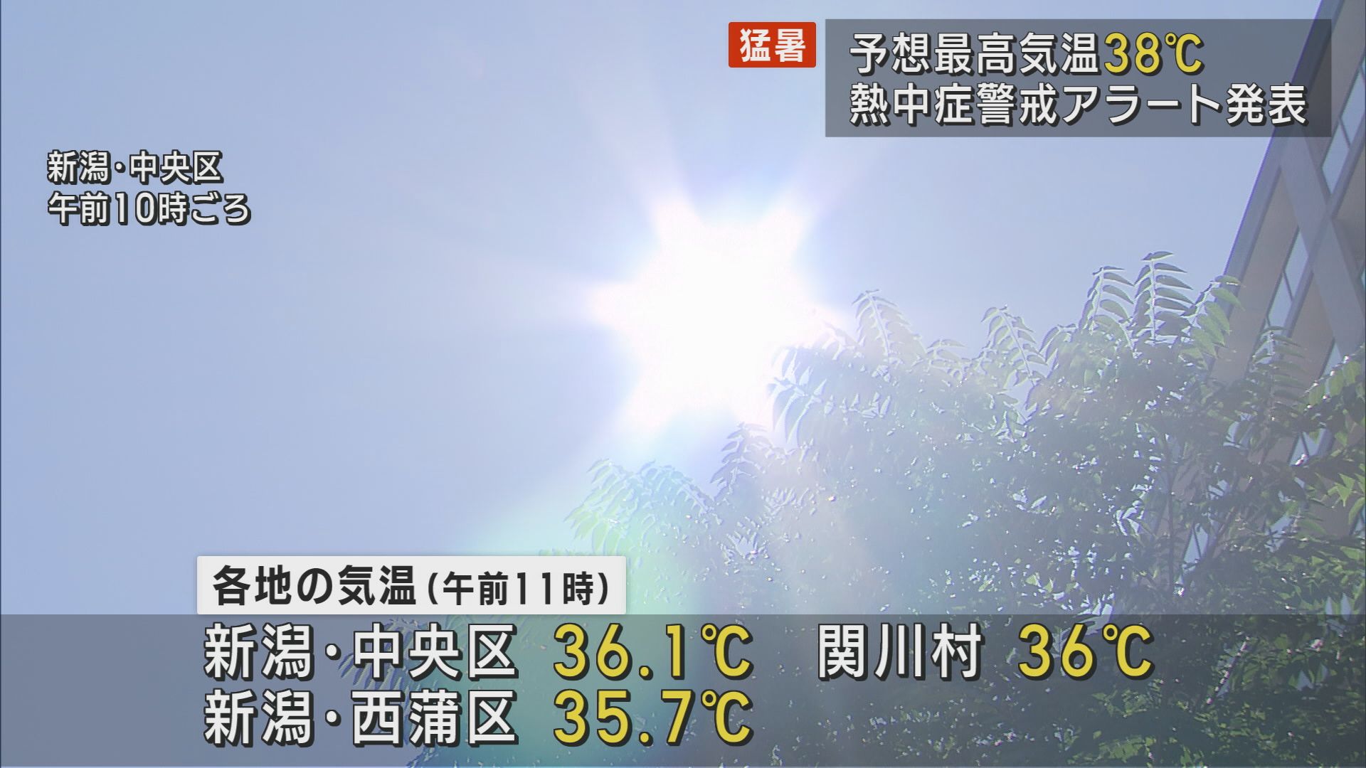 最高気温38℃予想も 続く熱中症警戒アラート【新潟】