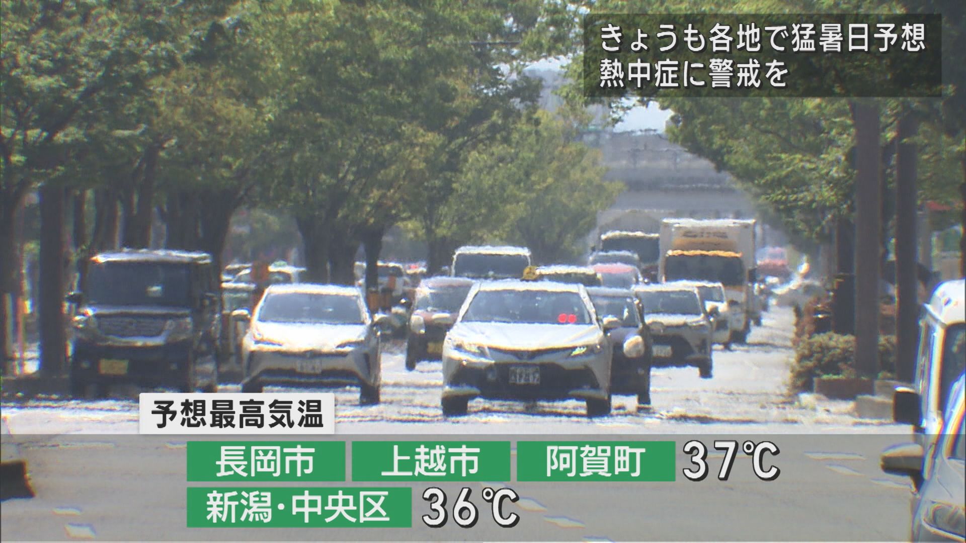 猛暑･熱中症の危険 熱中症警戒アラート続く【新潟】