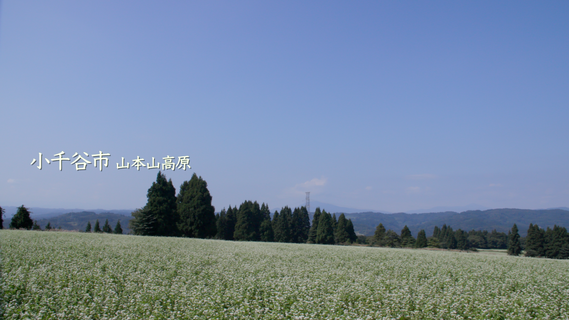 2023年9月🌱Team ECOメッセージは小千谷市
