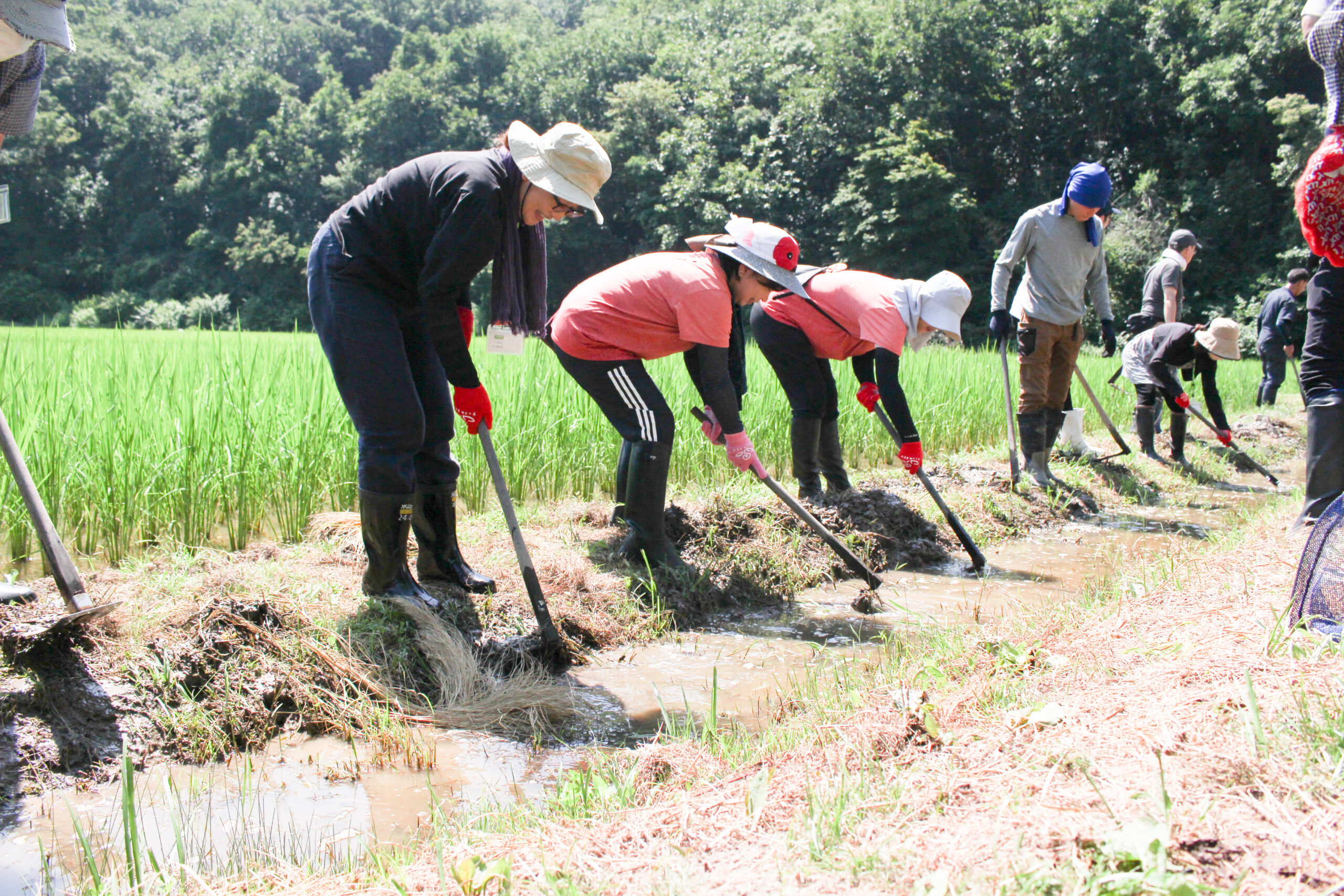 佐渡市の新穂潟上でTeam ECO Work！を開催🌈