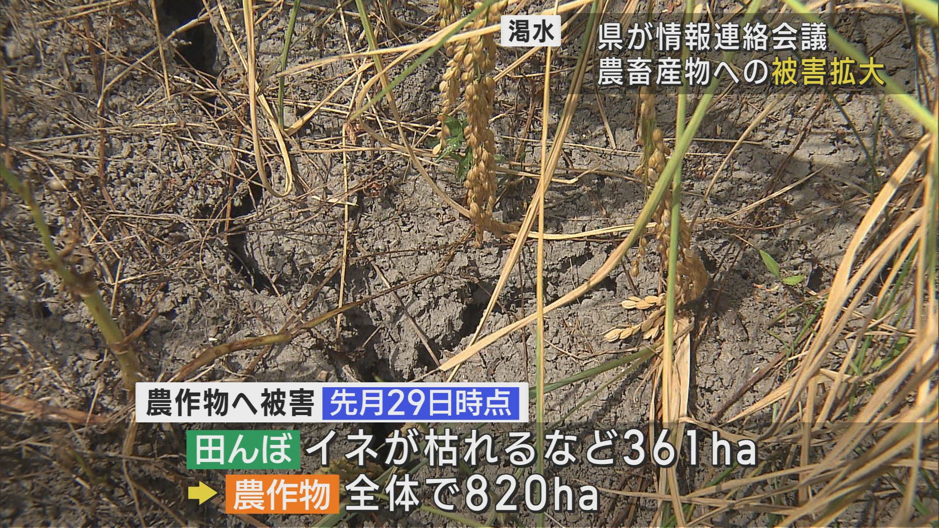 田んぼ361ha 家畜6151頭･羽　渇水の影響さらに 農畜産物への被害が拡大【新潟】