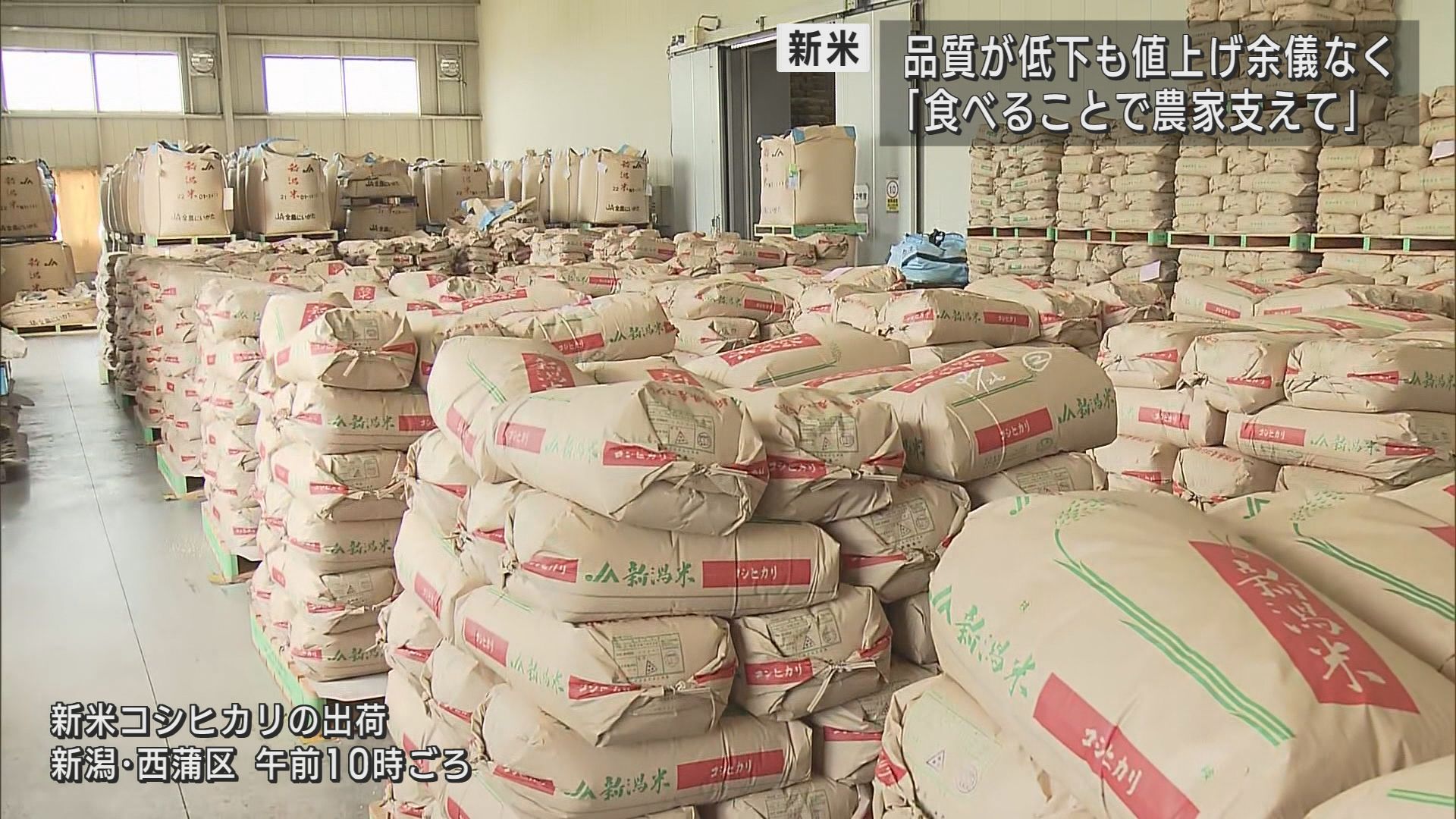 新米コシヒカリ県外出荷始まる 品質低下は「見た目」変わらぬ味を食べて農家支えて【新潟】