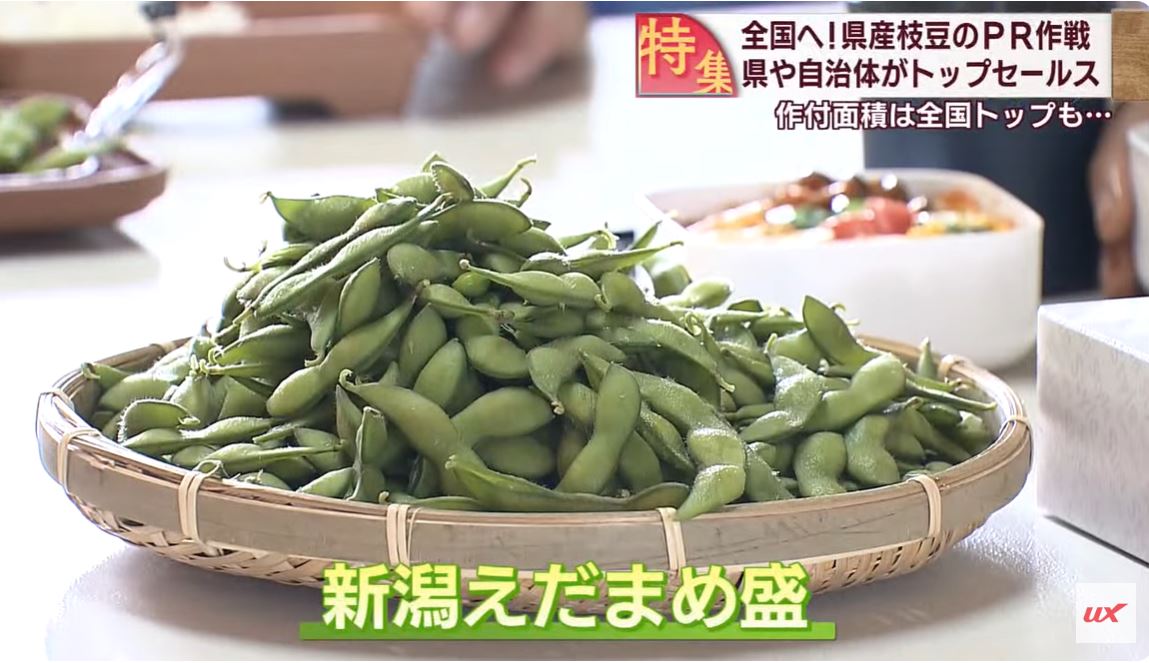 県民熱愛！まだまだ食べたい「枝豆」作付面積は全国トップ でも認知度低く…全国にPR【新潟】 2023年09月21日(木)