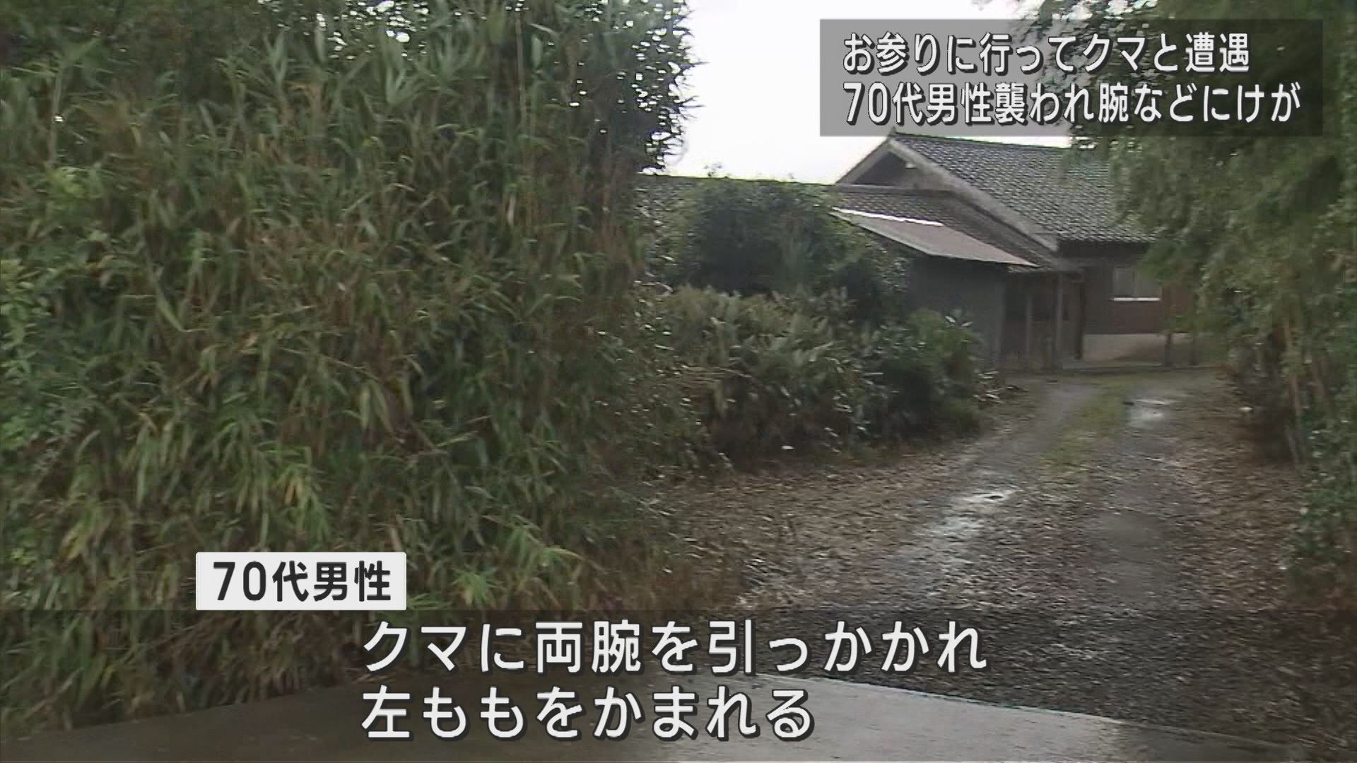自宅裏手の「ほこら」でお参りしていたらクマに遭遇 男性がけが【新潟･新発田市】 2023年09月28日(木)