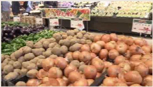 野菜・キノコ20種類値下げ特売！北信越エリアのイオン 値上げの10月・猛暑の影響ある中 食卓応援【新潟】 2023年09月30日(土)
