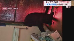 青天の霹靂…！網戸を破って飛び込んできたクマ 洗面所がめちゃくちゃに【新潟･関川村】 2023年09月22日(金)