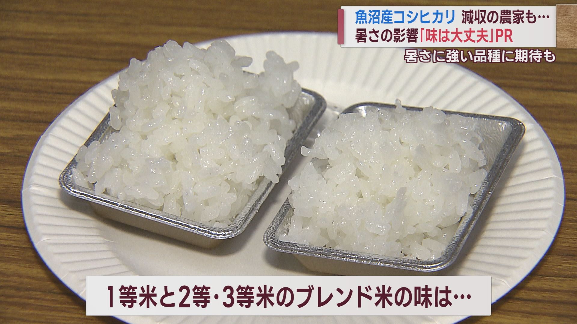 猛暑の影響深刻･農家の収入は JA「新米を売り切る決意」等級関わらず味は保証【新潟】 2023年09月28日(木)