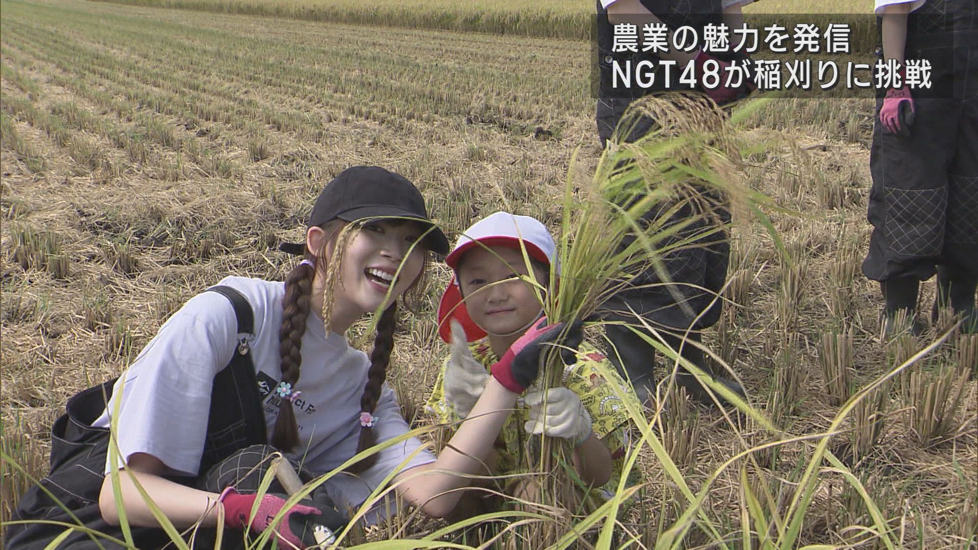 NGT48が育てたコシヒカリ「ときむすめ」園児たちと収穫【新潟】 2023年10月04日(水)